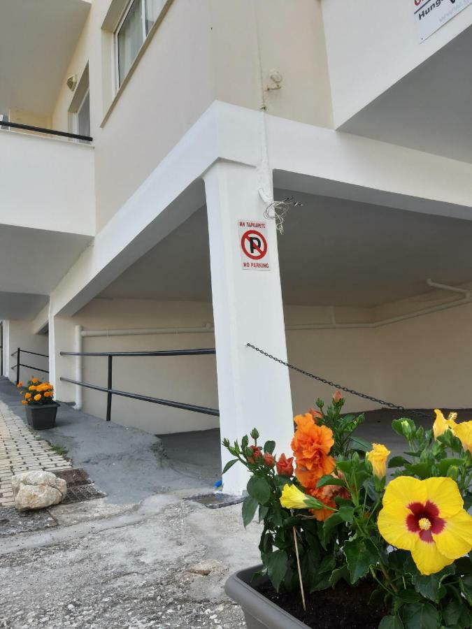 Apartment Ntemos Tolo